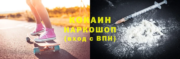 спайс Каменка