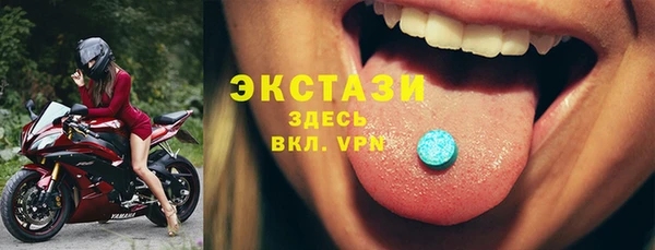 индика Каменногорск