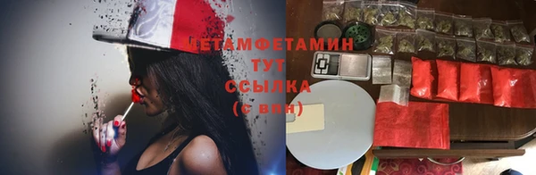 ГАЛЛЮЦИНОГЕННЫЕ ГРИБЫ Куйбышев