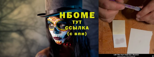 прущие грибы Зерноград